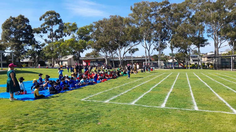 May be an image of 2 people, people playing American football and people playing football